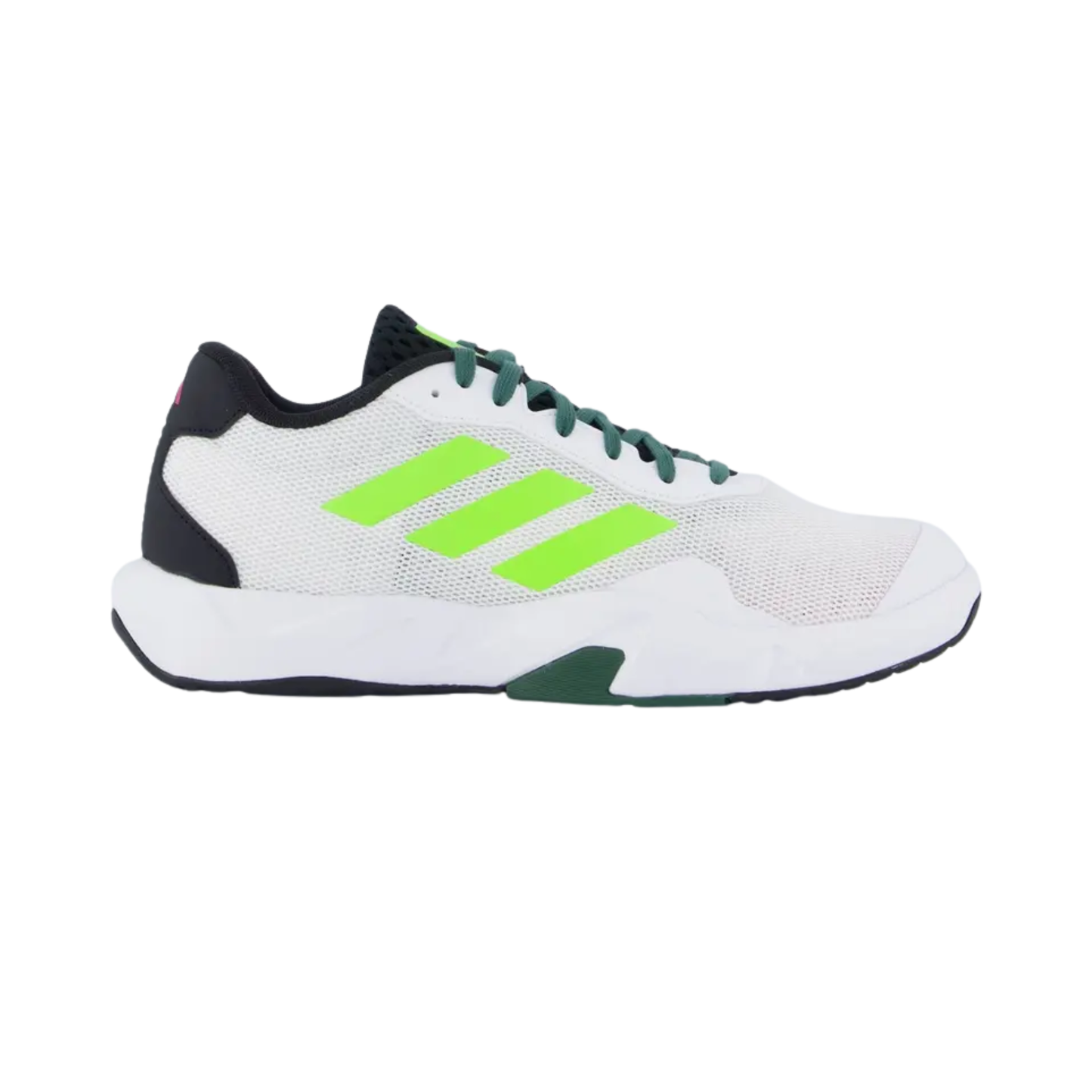 Amplimove Trainer